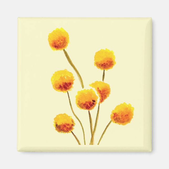 Yellow Billy Button native Australian flower Magnet (Front)