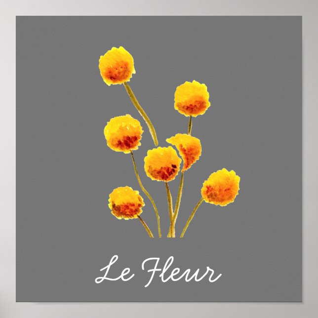 Yellow Billy Button native Australian flower Poster (Front)