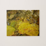 Yellow Birch Leaves in Stream Jigsaw Puzzle