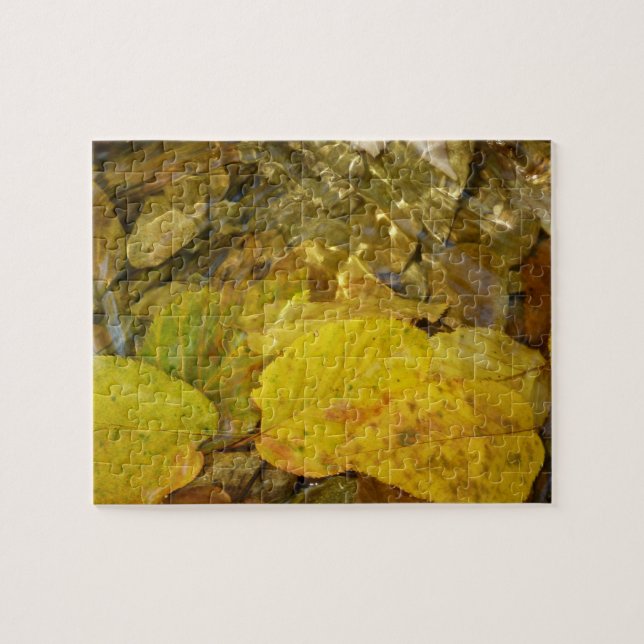 Yellow Birch Leaves in Stream Jigsaw Puzzle (Horizontal)