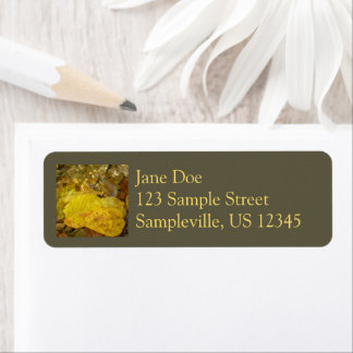 Yellow Birch Leaves in Stream Label