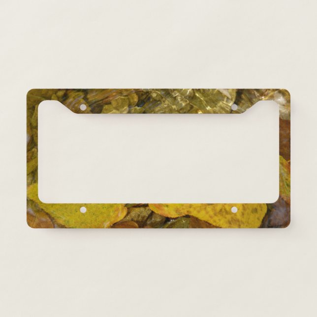Yellow Birch Leaves in Stream License Plate Frame (Front)