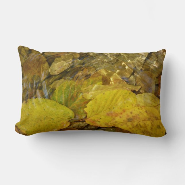 Yellow Birch Leaves in Stream Lumbar Pillow (Front)