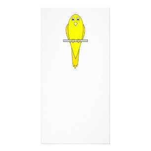 Yellow Bird. Canary. On White. Card