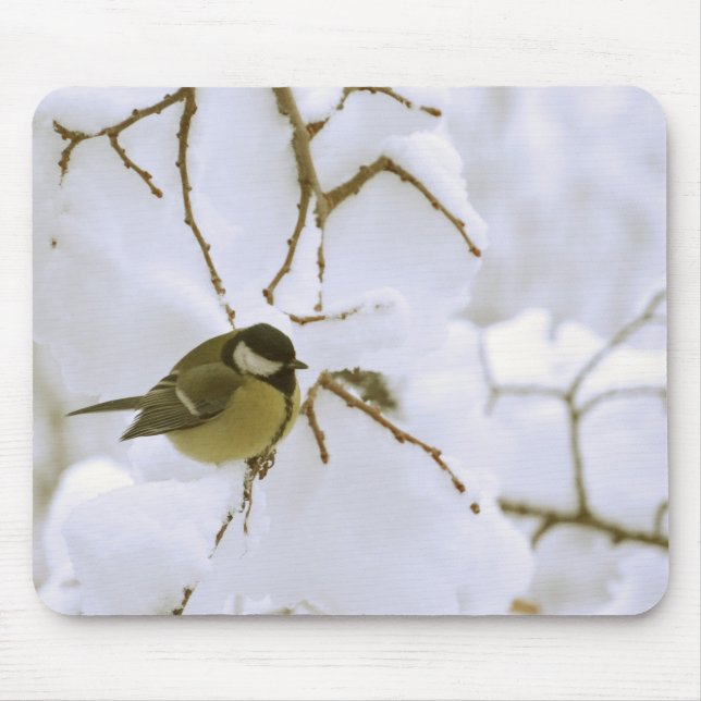 Yellow bird in the snow Photo Mousepad (Front)