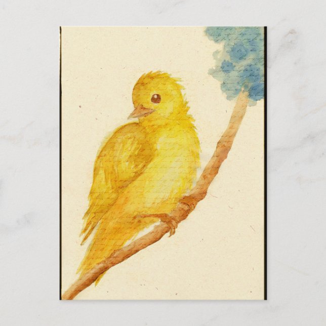 Yellow Bird Postcard (Front)