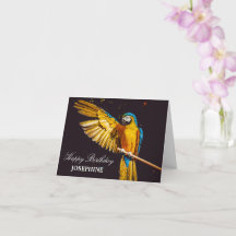 Yellow Bird Wildlife Pretty Macaw