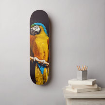 Yellow Bird Wildlife Pretty Macaw