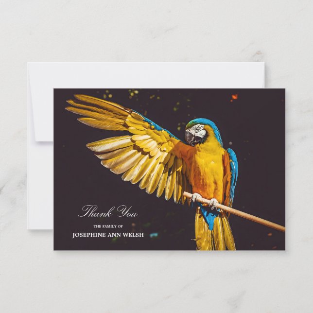 Yellow Bird Wildlife Pretty Macaw Thank You Card (Front)
