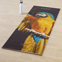 Yellow Bird Wildlife Pretty Macaw