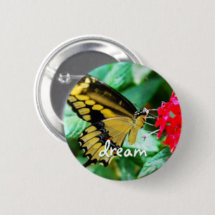Yellow black butterfly photo dream script modern pinback button