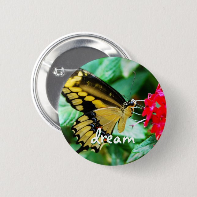 Yellow black butterfly photo dream script modern pinback button (Front & Back)