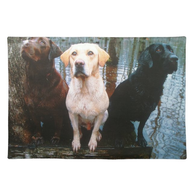 yellow,black & chocolate lab on placemat (Front)