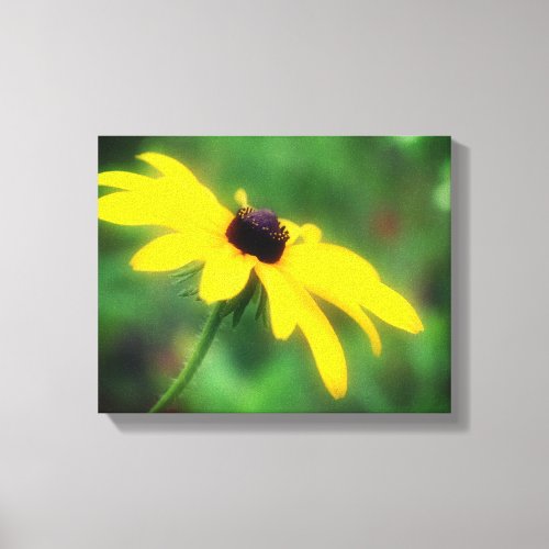 Yellow Black Eyed Susan Flower Canvas Print