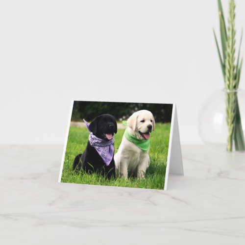 Yellow  Black Labrador Retriever Puppy Note Card