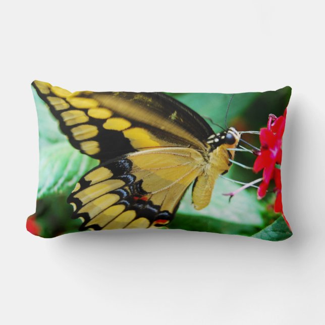 Yellow black swallowtail butterfly photo modern lumbar pillow (Front)
