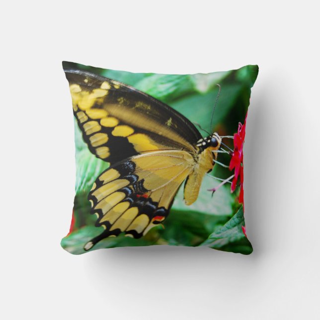 Yellow black swallowtail butterfly photo simple throw pillow (Front)
