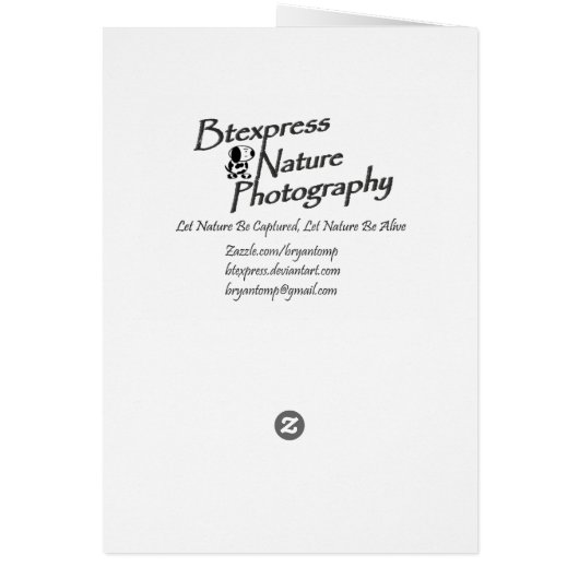 Yellow Bloom (5.0) (Back)