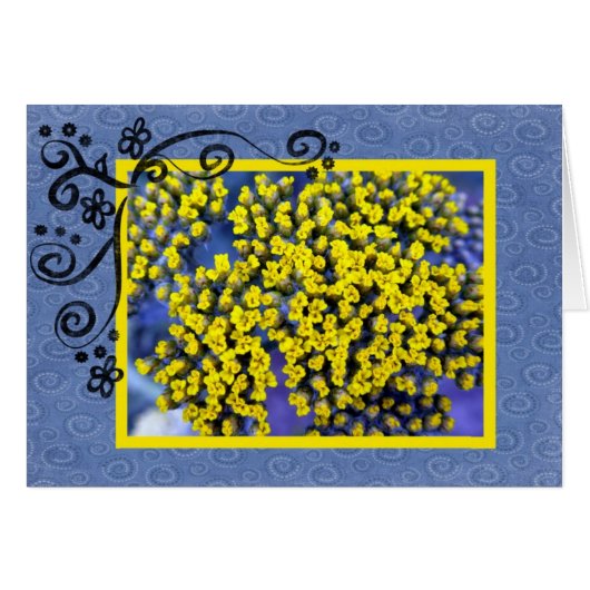 Yellow Blossoms Cards (Front Horizontal)