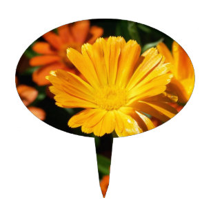 Yellow Blossoms Flowers Art Peace Love Destiny Cake Topper