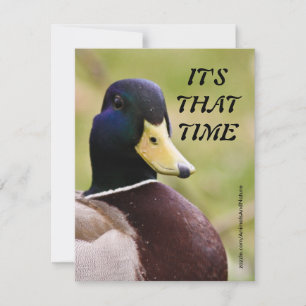 Yellow & Blue Duck Hunting Party Invitation
