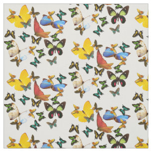 Yellow Blue Red Butterflies Print Pattern Fabric