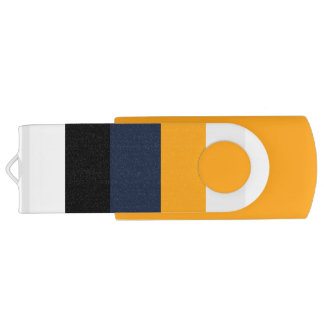 Yellow, blue, white, and black stripes flash drive