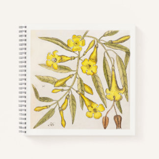 Yellow Botanical 18th Century Art Notebook