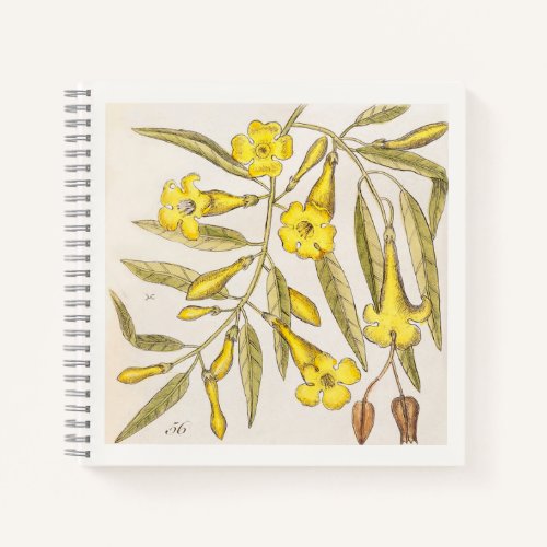 Yellow Botanical 18th Century Art Notebook