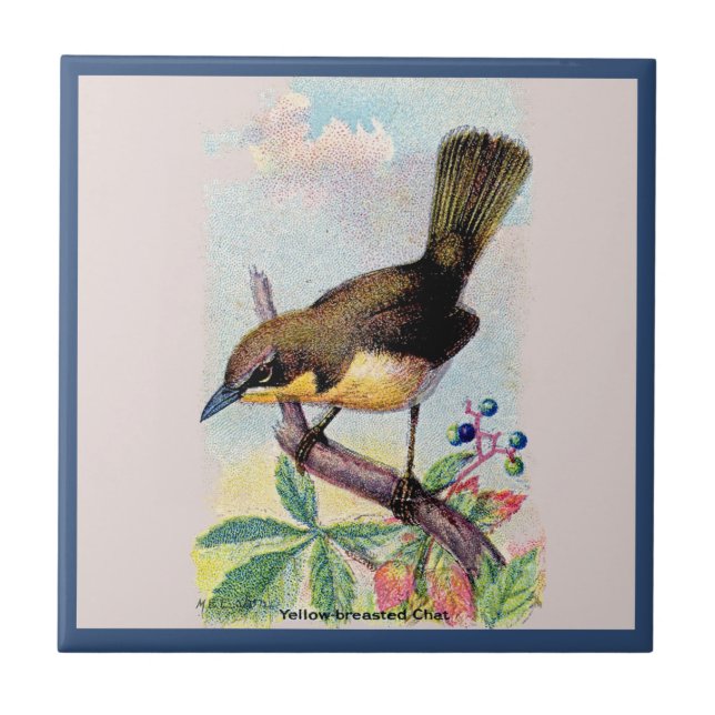 Yellow-breasted Chat Ceramic Tile (Front)
