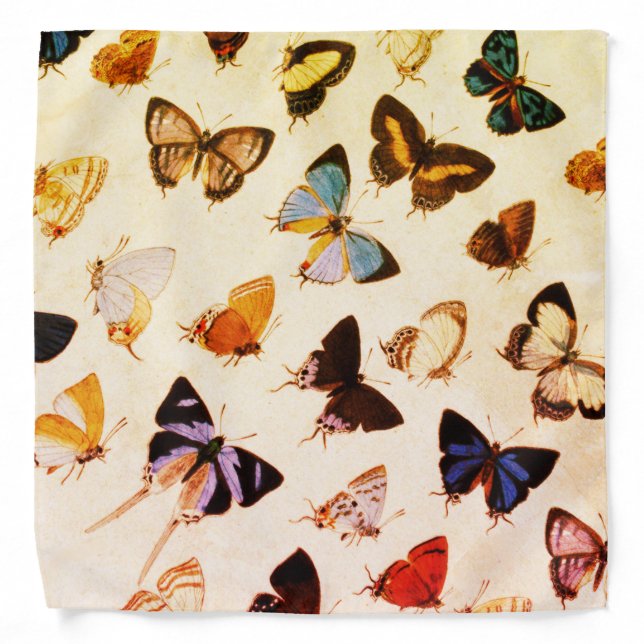 YELLOW BROWN BLUE BUTTERFLIES Beauty Nature Lover Bandana (Front)