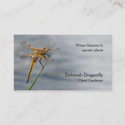 Yellow brown dragonfly business card