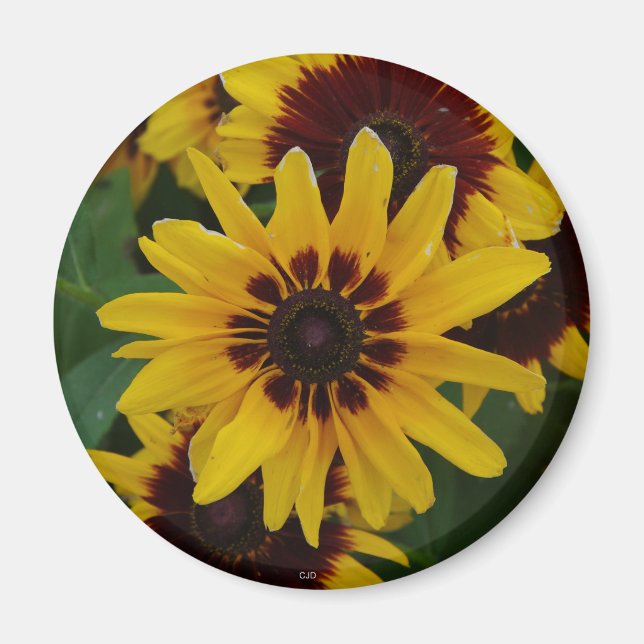 Yellow Brown Flowers magnet (Front)