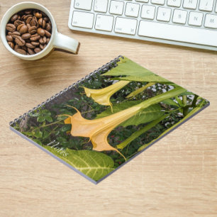 Yellow Brugmansia Bloom Floral Notebook