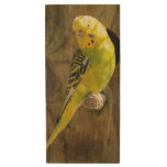 Yellow budgie wood flash drive