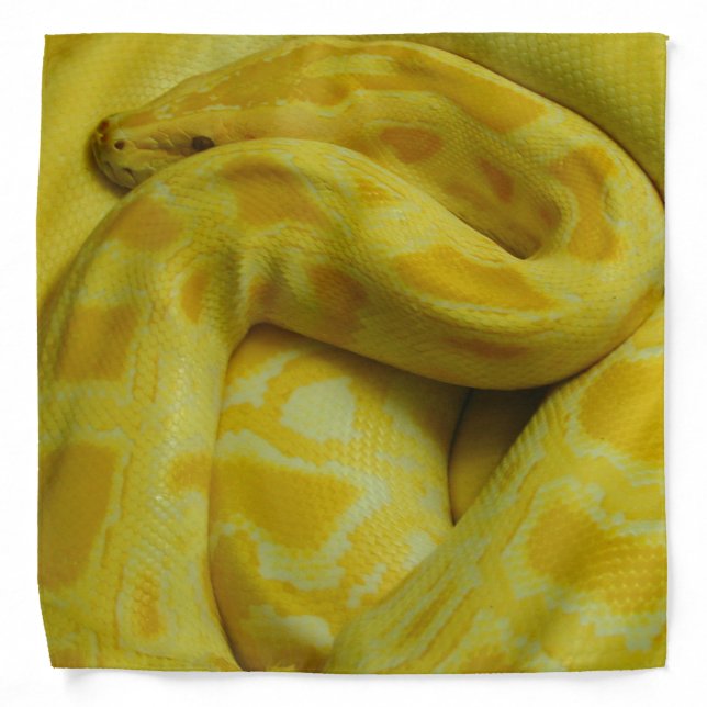 Yellow Burmese Python Bandana (Front)