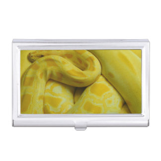 Yellow Burmese Python Business Card Case