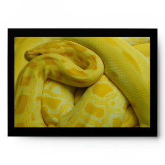 Yellow Burmese Python Envelope
