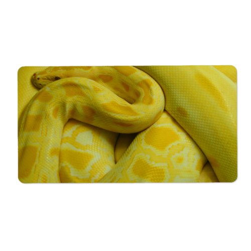 Yellow Burmese Python Label