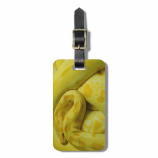 Yellow Burmese Python Luggage Tag
