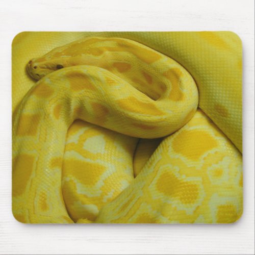 Yellow Burmese Python Mouse Pad