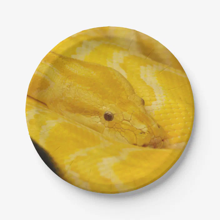 Yellow Burmese Python Paper Plate Zazzle Com