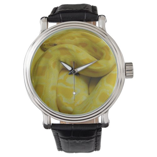 Yellow Burmese Python Watch