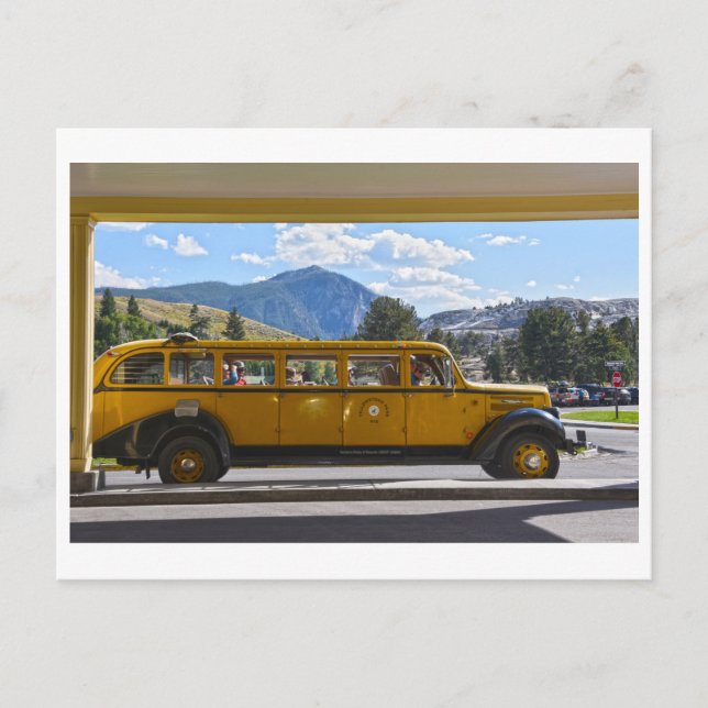 Yellow Bus, Yellowstone National Park, Wyoming Pos Postcard (Front)