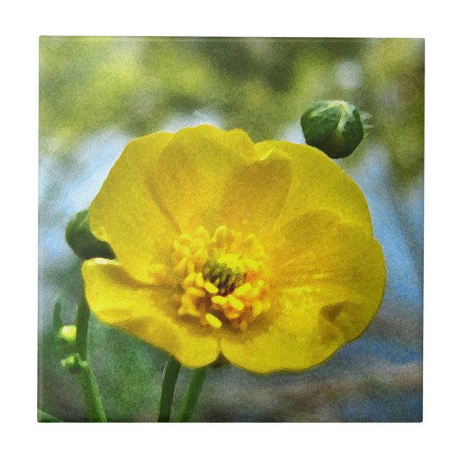 Yellow Buttercup at the Pond Ceramic Tile