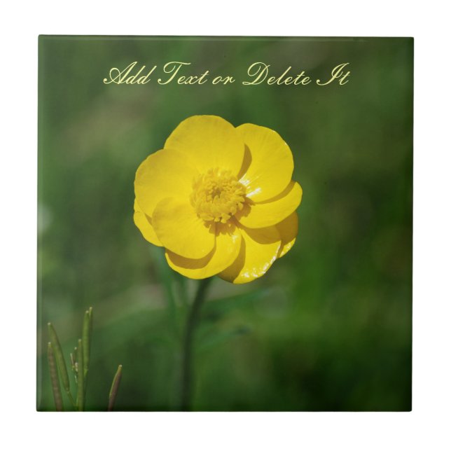 Yellow Buttercup Ceramic Tile (Front)