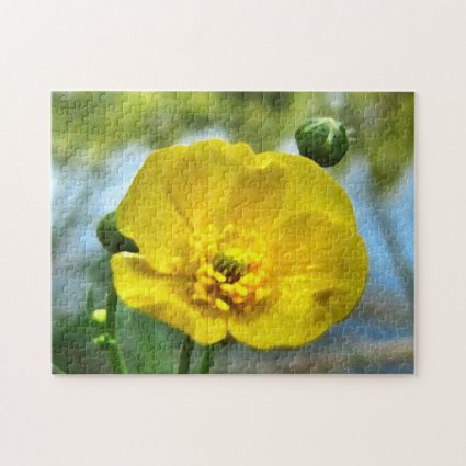 Yellow Buttercup Flower at Pond Puzzle
