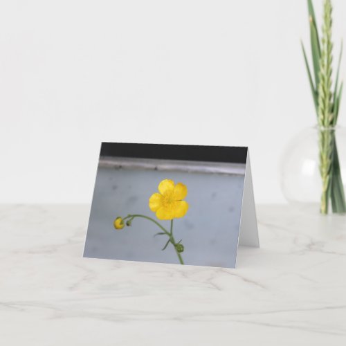 Yellow Buttercup Flower Holiday Card