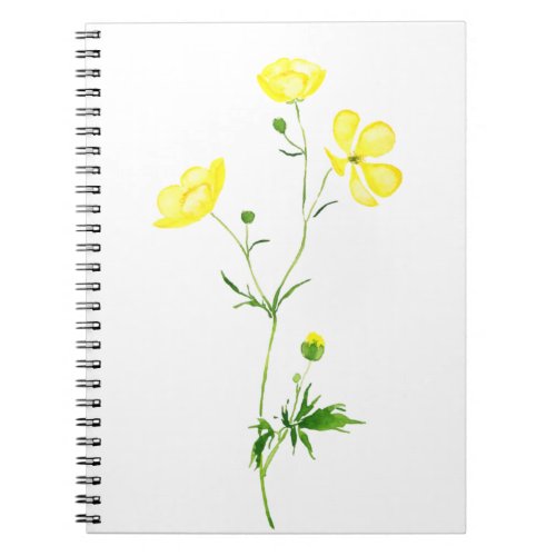 yellow buttercup flower watercolor notebook