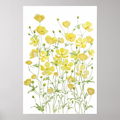 yellow buttercup flowers field watercolor  poster